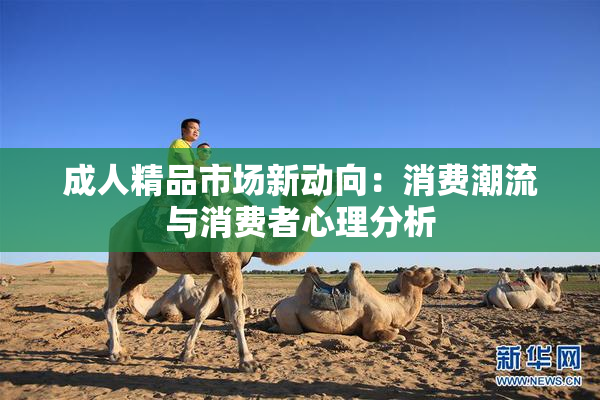 成人精品市场新动向：消费潮流与消费者心理分析