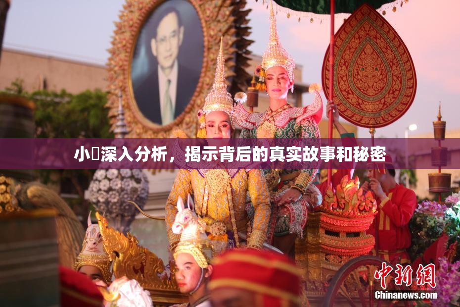 小泬深入分析，揭示背后的真实故事和秘密