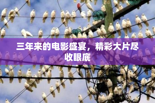 三年来的电影盛宴，精彩大片尽收眼底