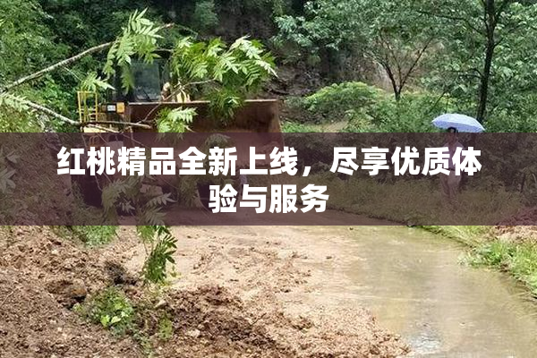 红桃精品全新上线，尽享优质体验与服务