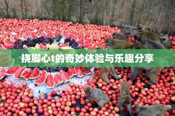 挠脚心t的奇妙体验与乐趣分享
