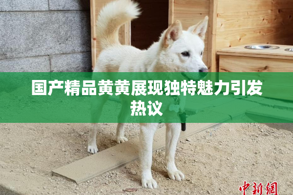 国产精品黄黄展现独特魅力引发热议