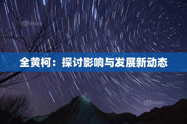 全黄柯：探讨影响与发展新动态