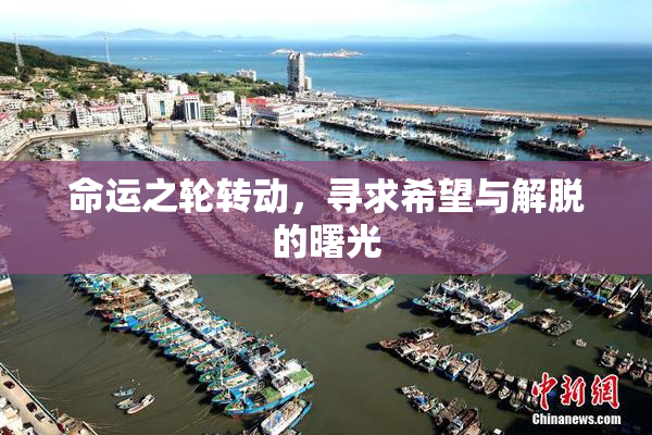 命运之轮转动，寻求希望与解脱的曙光