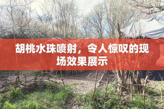 胡桃水珠喷射，令人惊叹的现场效果展示