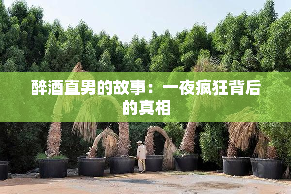 醉酒直男的故事：一夜疯狂背后的真相