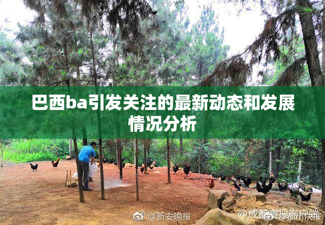 巴西ba引发关注的最新动态和发展情况分析