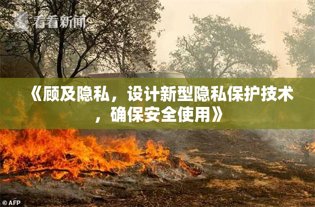 《顾及隐私，设计新型隐私保护技术，确保安全使用》
