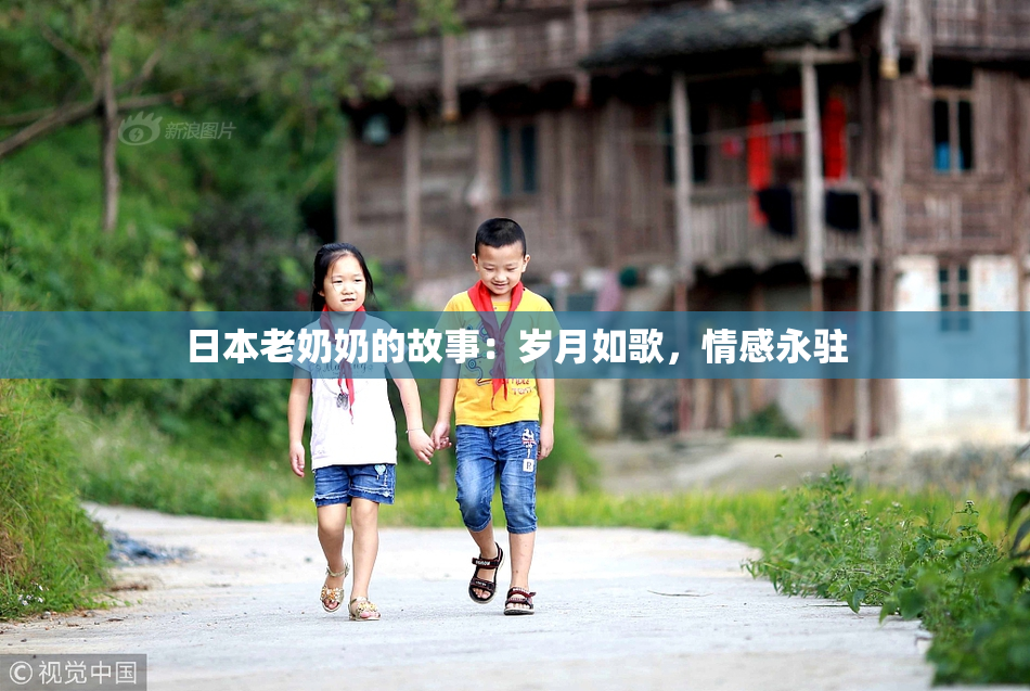 日本老奶奶的故事：岁月如歌，情感永驻