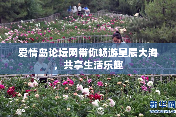 爱情岛论坛网带你畅游星辰大海，共享生活乐趣