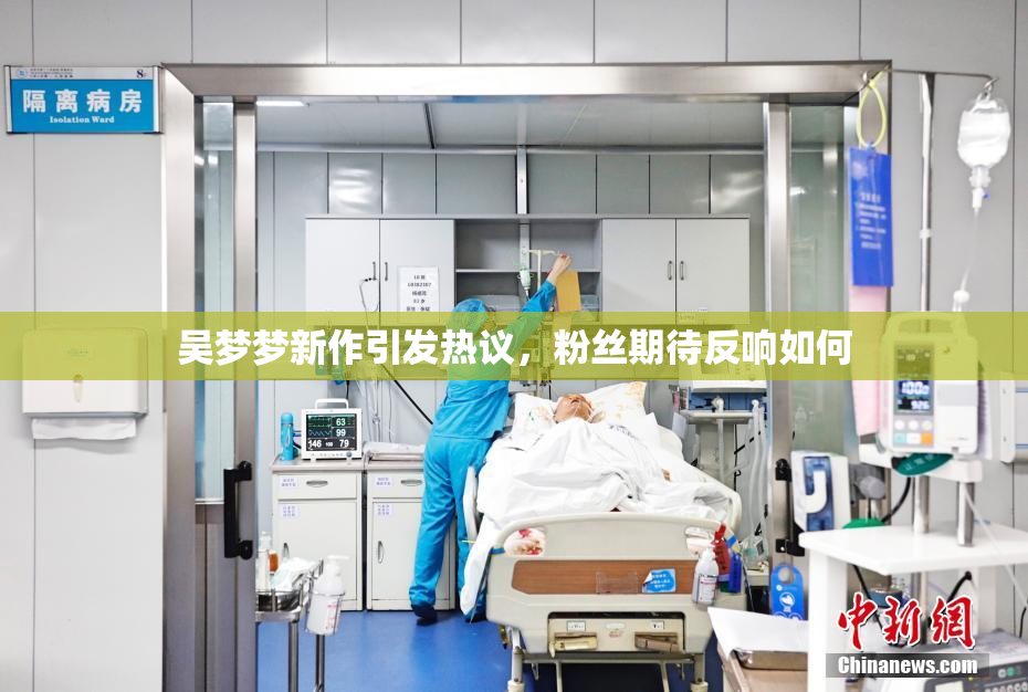吴梦梦新作引发热议，粉丝期待反响如何