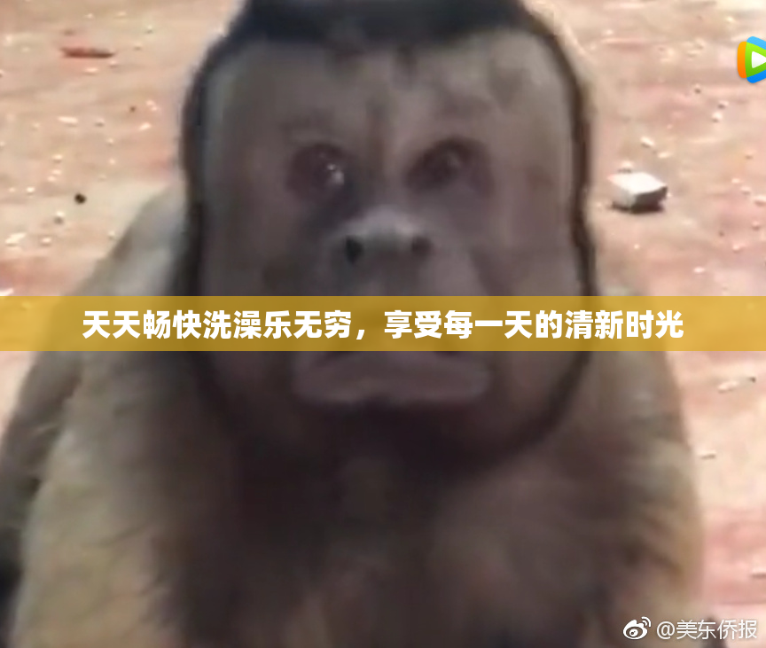 天天畅快洗澡乐无穷，享受每一天的清新时光