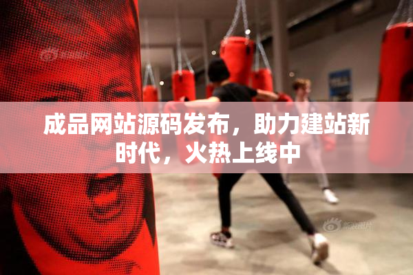 成品网站源码发布，助力建站新时代，火热上线中