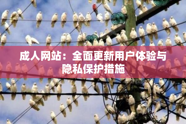 成人网站：全面更新用户体验与隐私保护措施