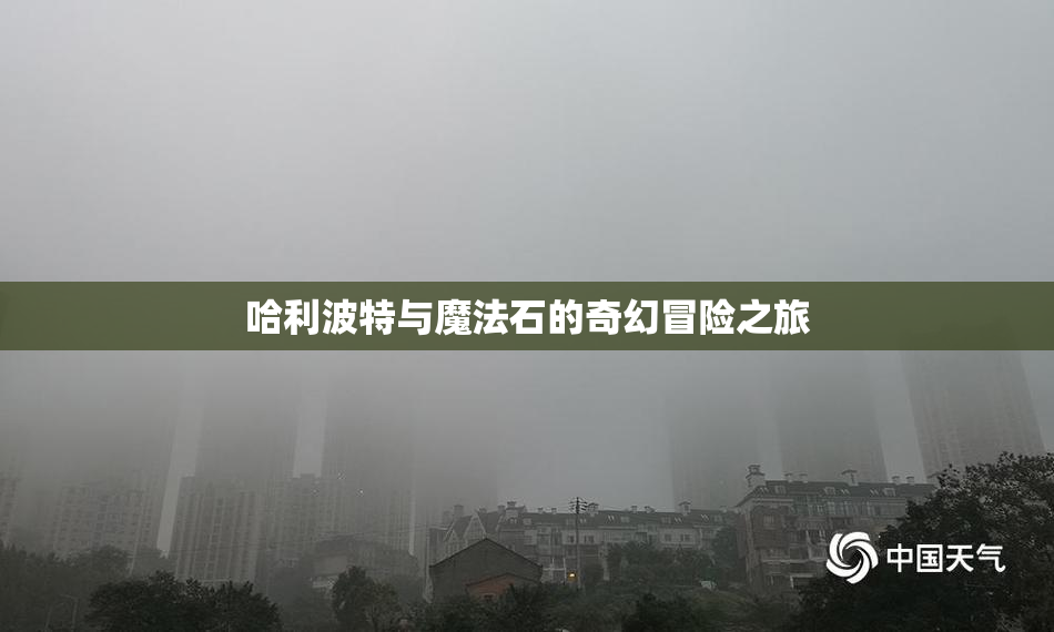 哈利波特与魔法石的奇幻冒险之旅
