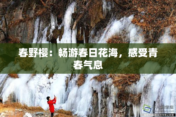 春野樱：畅游春日花海，感受青春气息