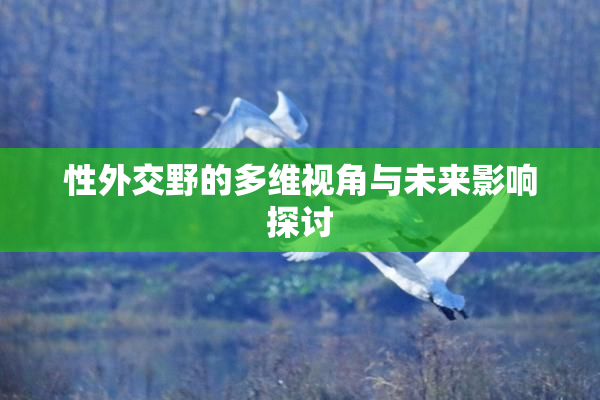 性外交野的多维视角与未来影响探讨