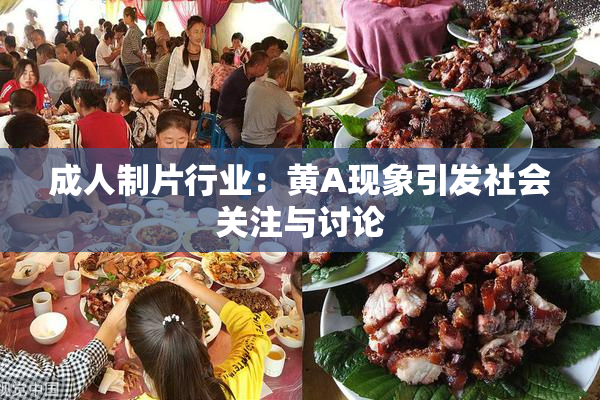 成人制片行业：黄A现象引发社会关注与讨论