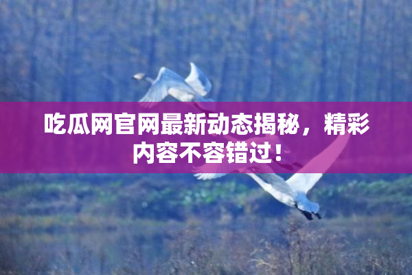 吃瓜网官网最新动态揭秘，精彩内容不容错过！