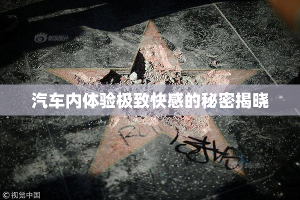 汽车内体验极致快感的秘密揭晓