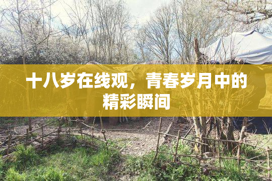 十八岁在线观，青春岁月中的精彩瞬间