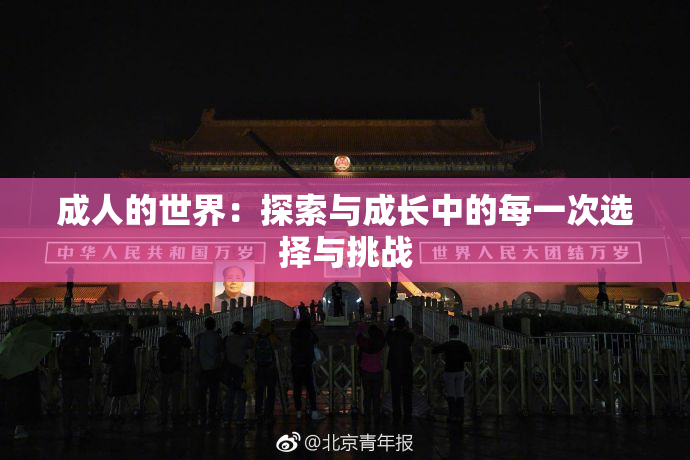 成人的世界：探索与成长中的每一次选择与挑战