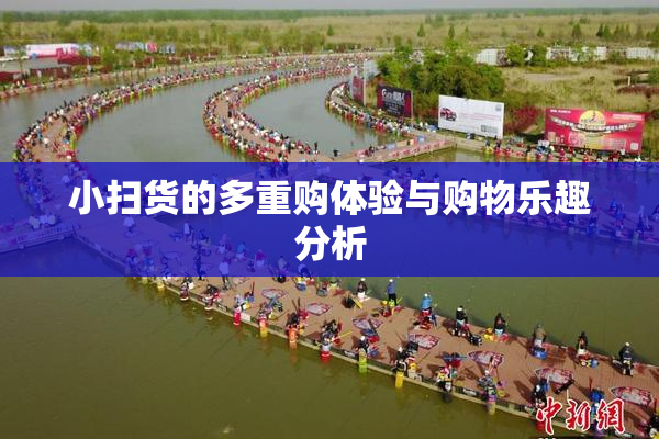 小扫货的多重购体验与购物乐趣分析