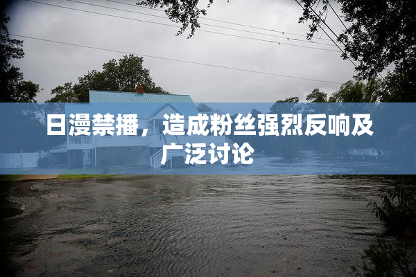 日漫禁播，造成粉丝强烈反响及广泛讨论
