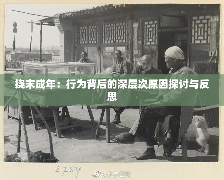 挠末成年：行为背后的深层次原因探讨与反思