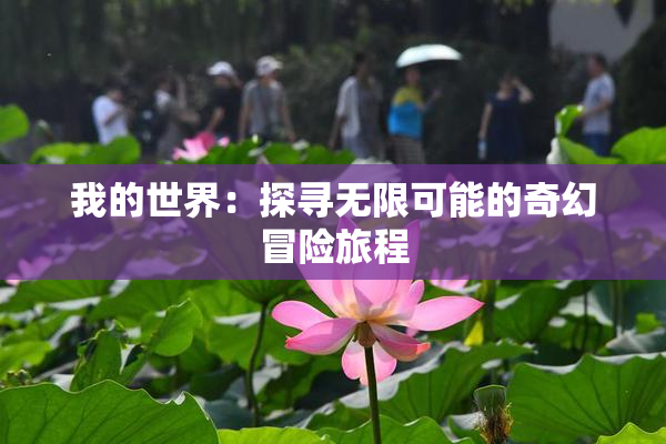 我的世界：探寻无限可能的奇幻冒险旅程