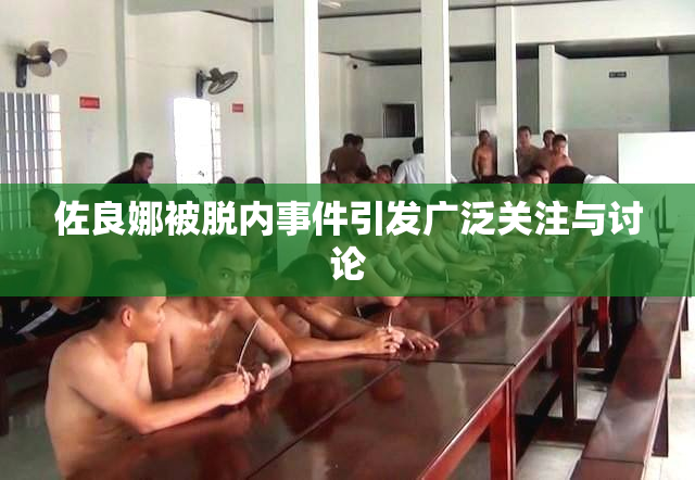 佐良娜被脱内事件引发广泛关注与讨论
