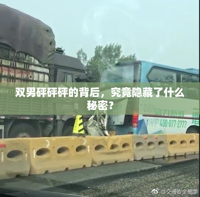 双男砰砰砰的背后，究竟隐藏了什么秘密？