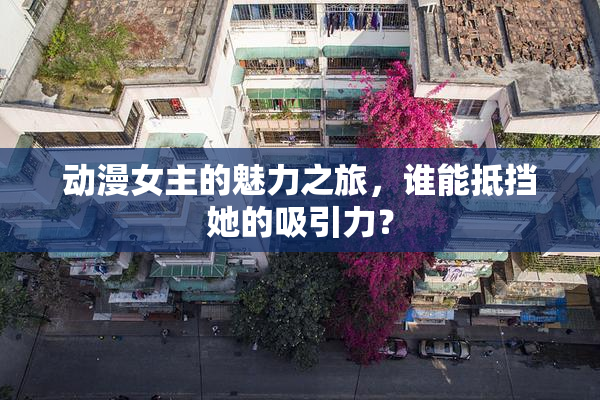 动漫女主的魅力之旅，谁能抵挡她的吸引力？