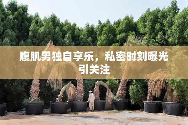 腹肌男独自享乐，私密时刻曝光引关注