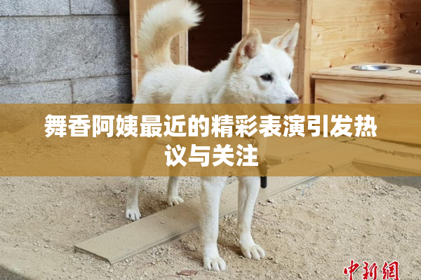 舞香阿姨最近的精彩表演引发热议与关注