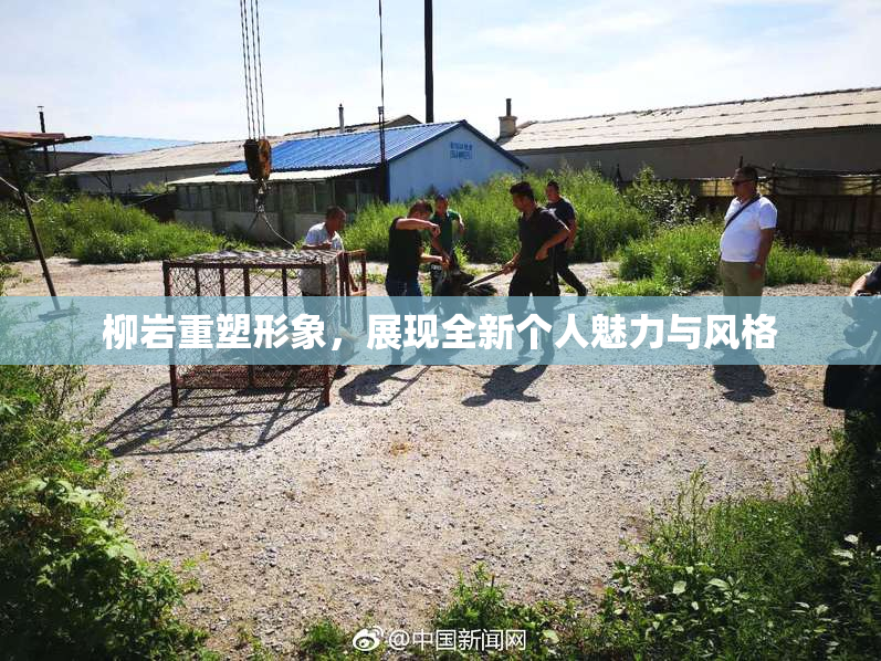 柳岩重塑形象，展现全新个人魅力与风格