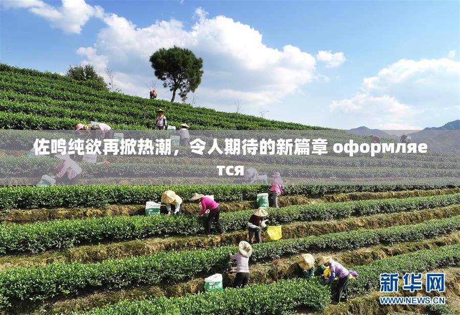 佐鸣纯欲再掀热潮，令人期待的新篇章 оформляется