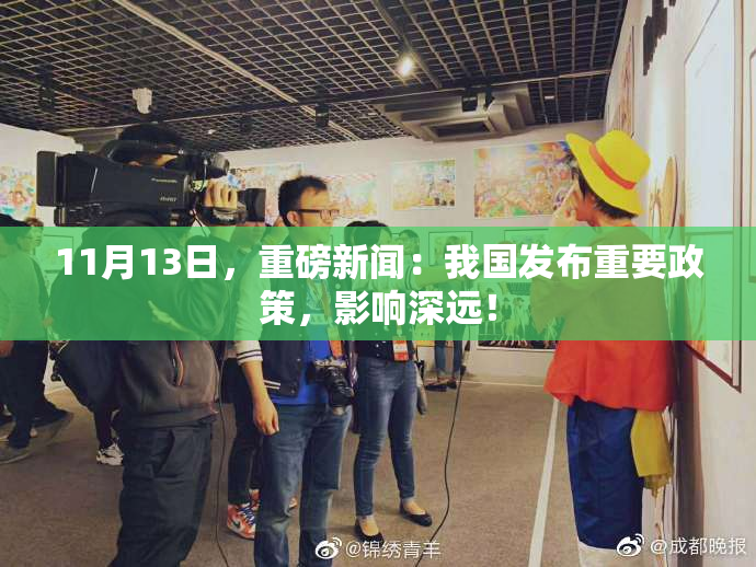 11月13日，重磅新闻：我国发布重要政策，影响深远！