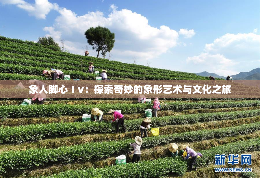 象人脚心Ⅰv：探索奇妙的象形艺术与文化之旅