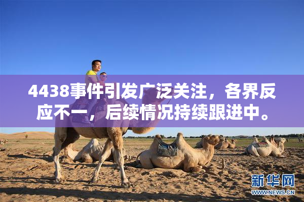 4438事件引发广泛关注，各界反应不一，后续情况持续跟进中。