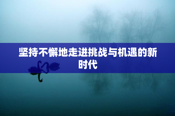 坚持不懈地走进挑战与机遇的新时代