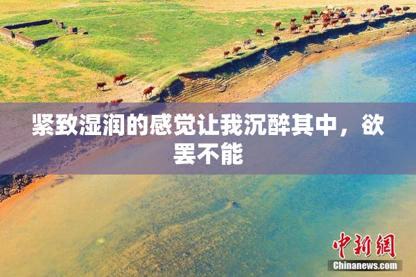 紧致湿润的感觉让我沉醉其中，欲罢不能