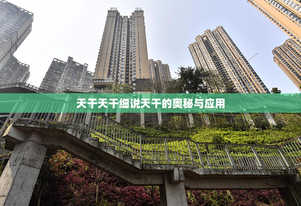天干天干细说天干的奥秘与应用