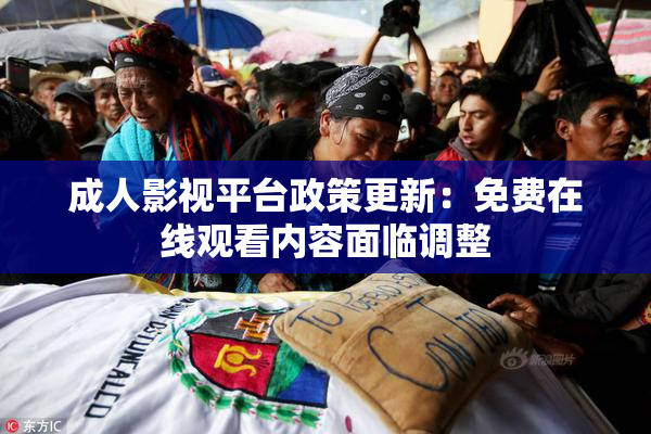 成人影视平台政策更新：免费在线观看内容面临调整