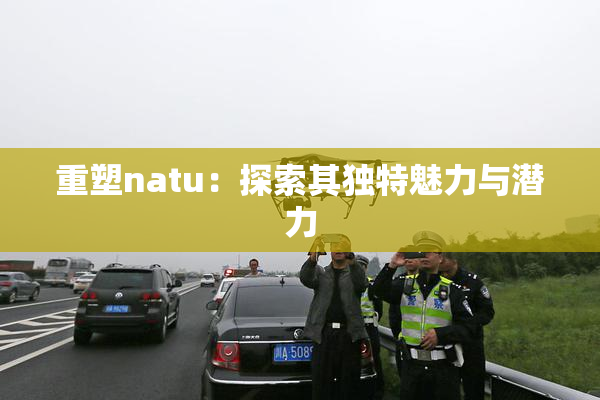 重塑natu：探索其独特魅力与潜力