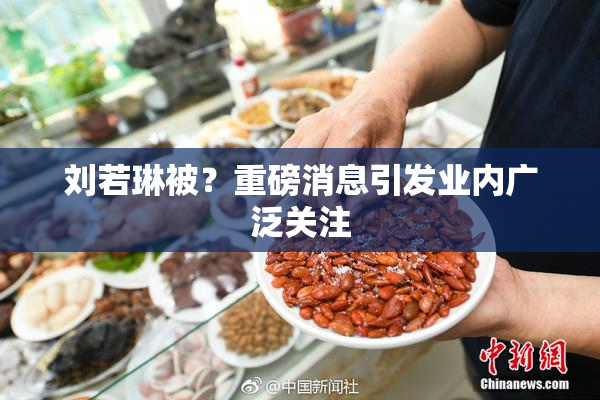 刘若琳被？重磅消息引发业内广泛关注