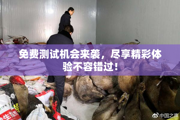 免费测试机会来袭，尽享精彩体验不容错过！