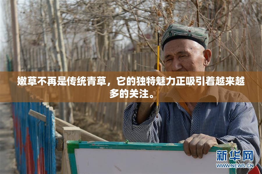 嫩草不再是传统青草，它的独特魅力正吸引着越来越多的关注。