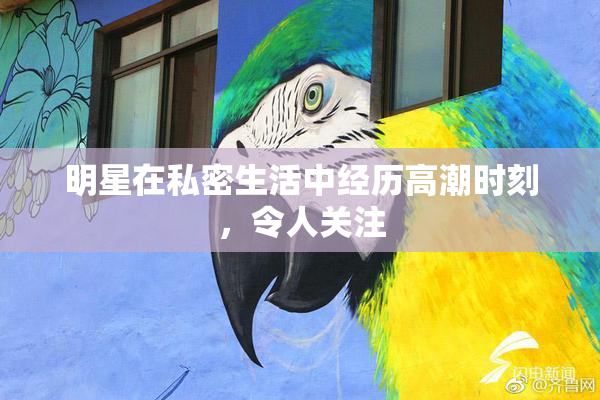 明星在私密生活中经历高潮时刻，令人关注