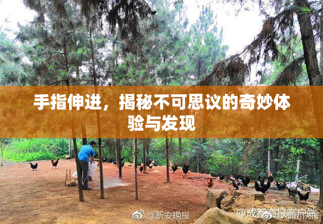 手指伸进，揭秘不可思议的奇妙体验与发现